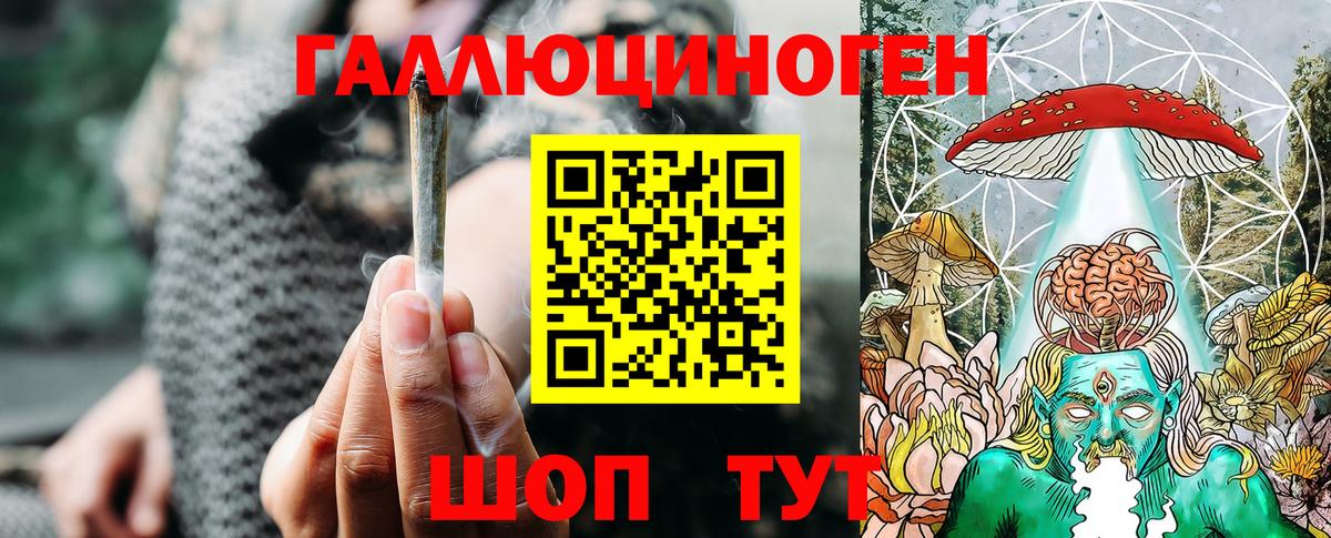 Псилоцибиновые грибы Psilocybe Всеволожск